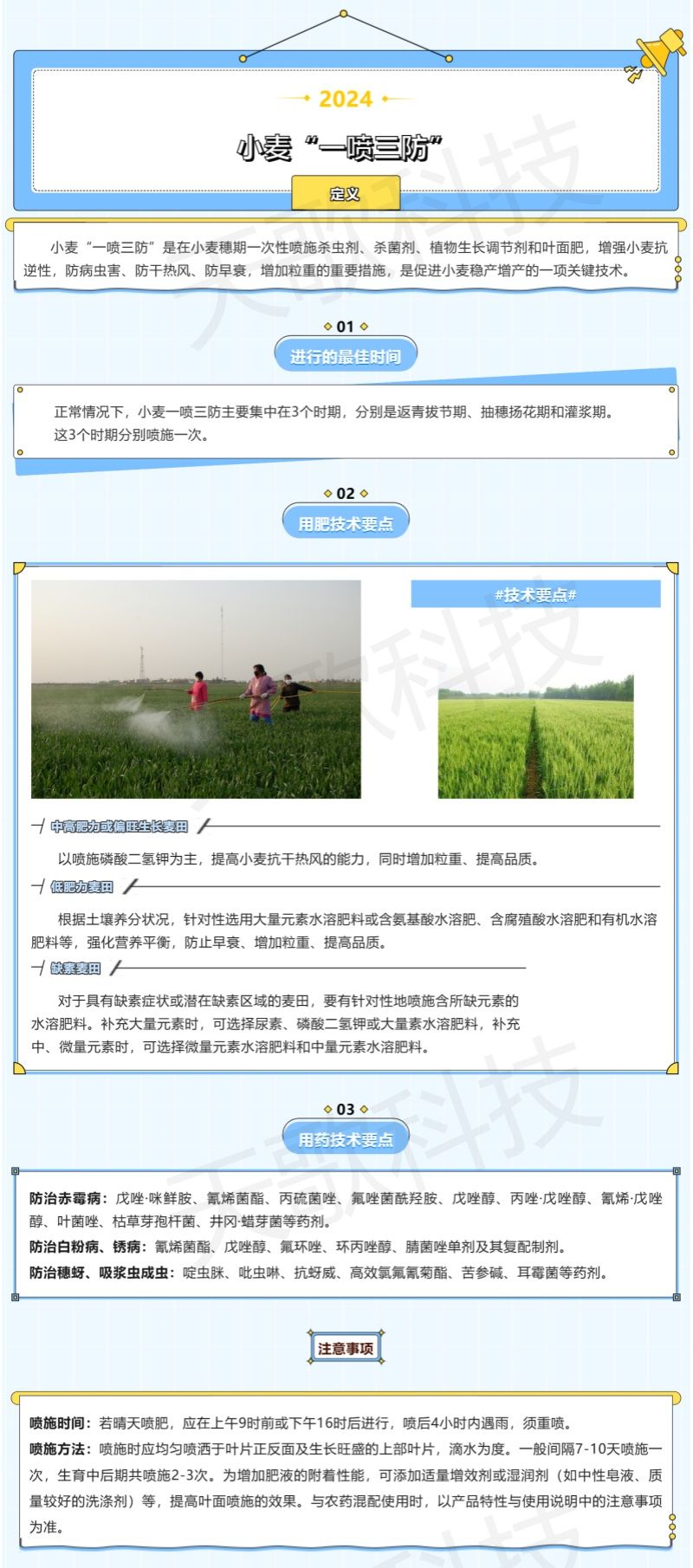 農(nóng)技分享_什么是小麥“一噴三防”？技術(shù)要點(diǎn)都有哪些？-加水印.jpg